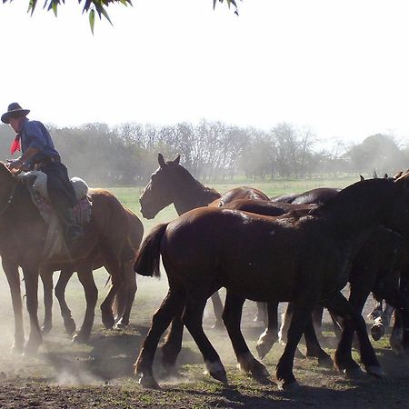 Penzion Estancia Don Silvano Diego Gaynor Exteriér fotografie