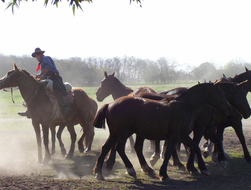 Penzion Estancia Don Silvano Diego Gaynor Exteriér fotografie