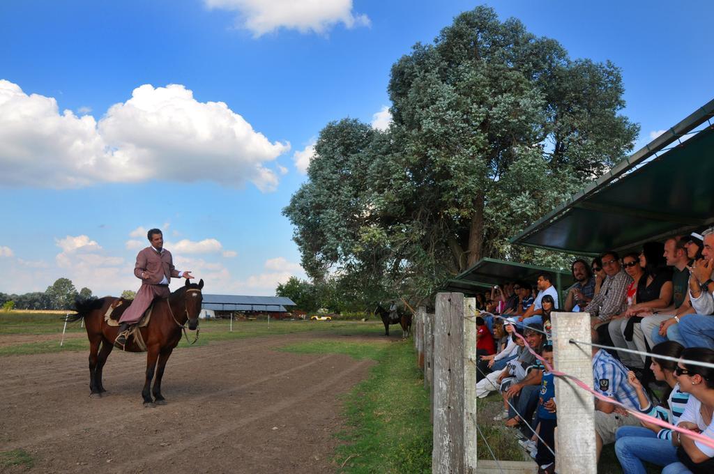 Penzion Estancia Don Silvano Diego Gaynor Exteriér fotografie